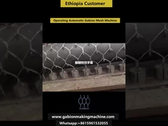 Ethiopia Customer Operating Automatic Gabion Mesh Production Line | Flood Control Project