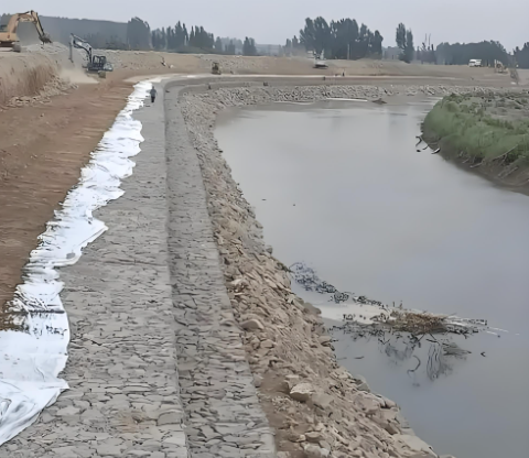 Latest company blogs about Gabion Mesh Machinery Empowering Green Infrastructure and Eco-Restoration Projects